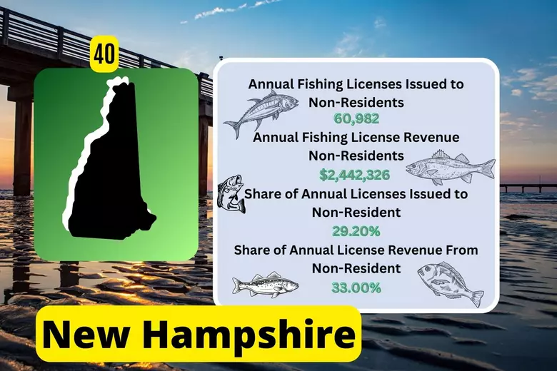 How Much Is a Fishing License In New Hampshire?