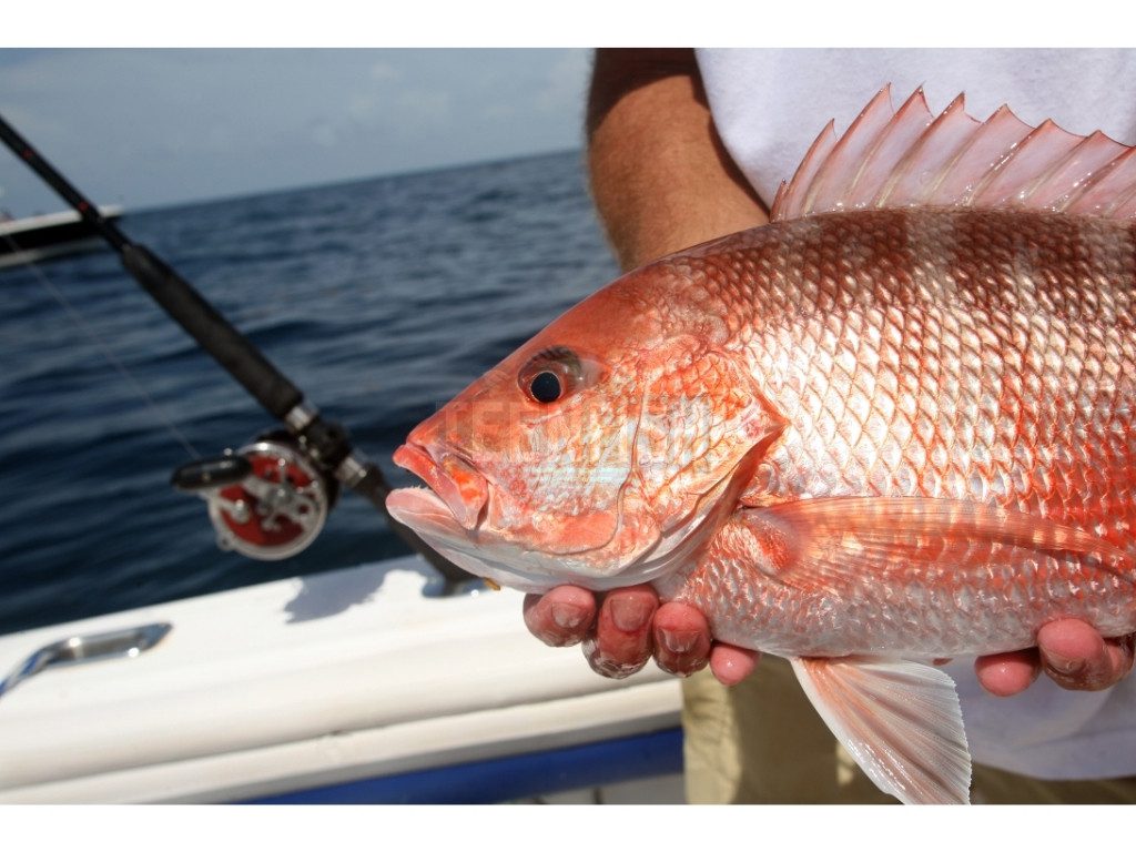 What You Need to Know About Florida Lifetime Fishing Licenses in 2025