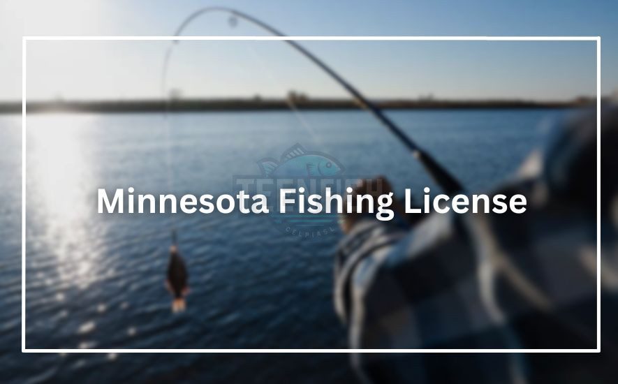 How to Get a Minnesota Fishing License in 2025: Step-by-Step Guide