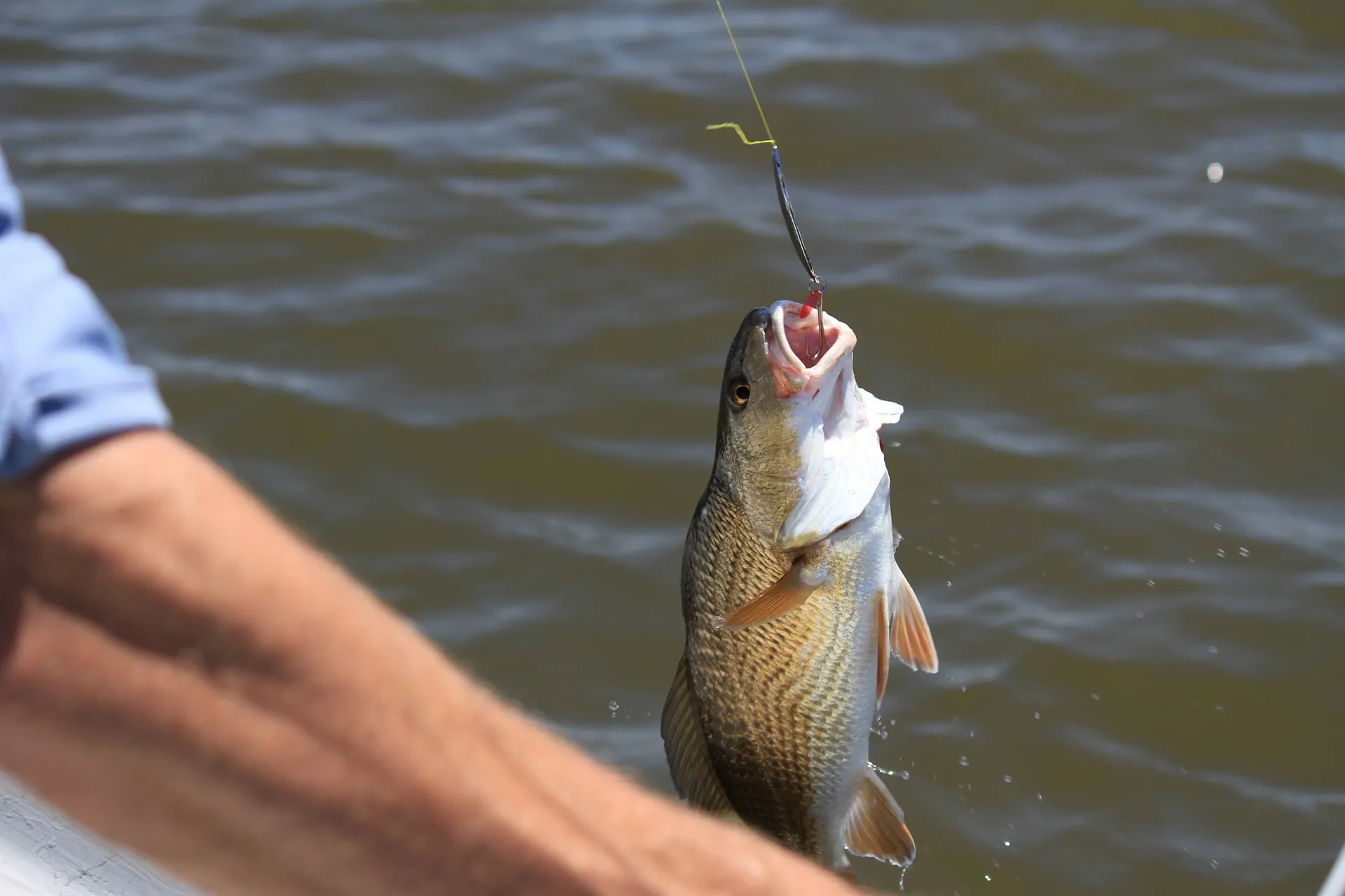 Get Your 2025 Florida Saltwater Fishing License: Official Guide & Expert Tips