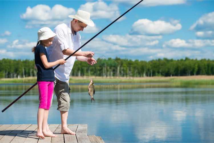 Top 10 Fishing Spots in Massachusetts: 2025 Guide to Best Angling Locations & Tips
