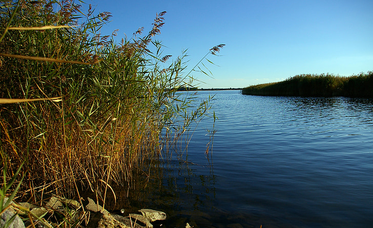 Free Fishing Days in Alabama: Dates, Locations, and Tips for 2025