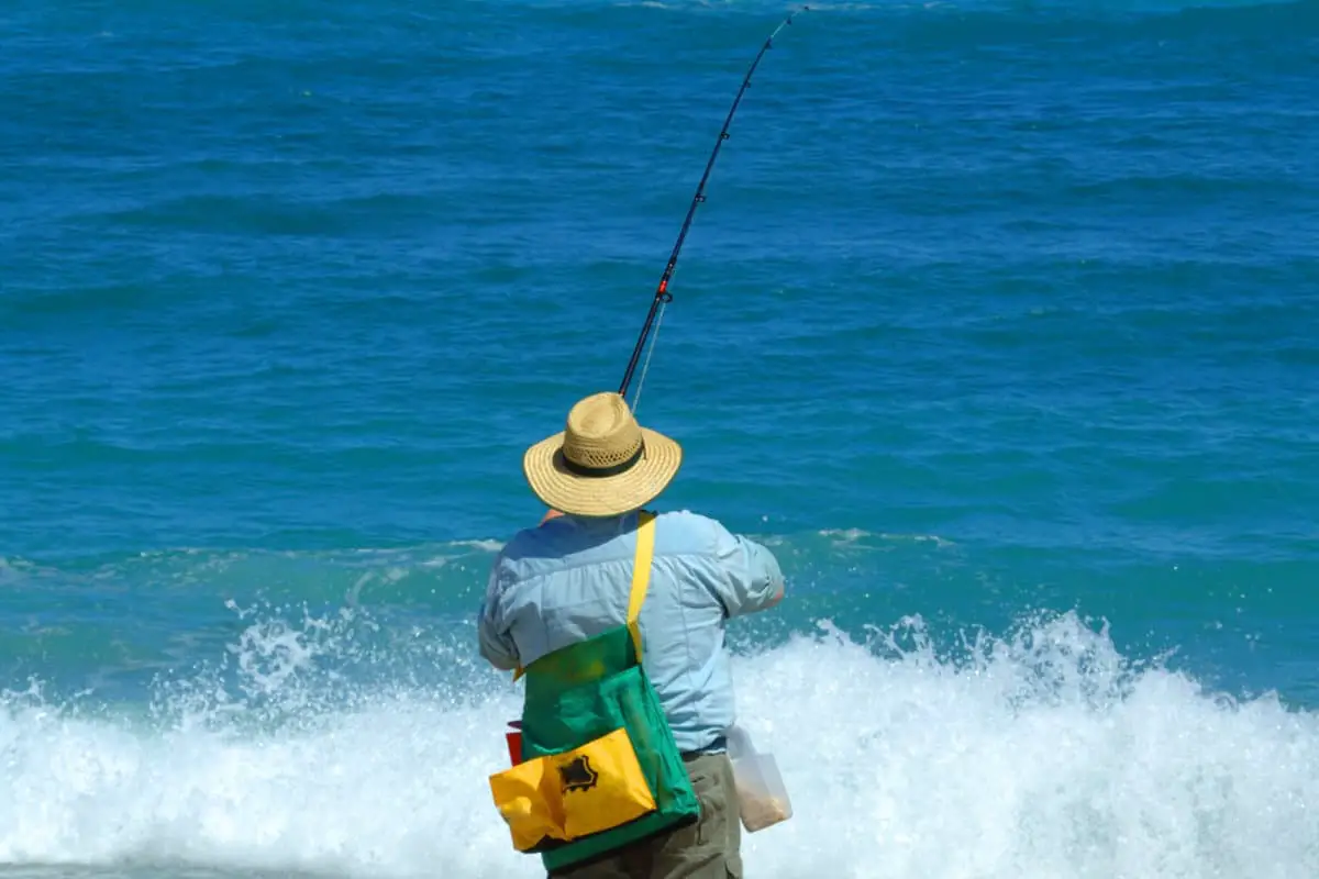 Florida Fishing License Fees Explained: How Your Money Supports Conservation and Fishing Access