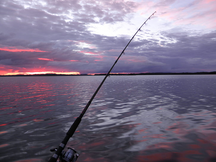 Top Trout Fishing Destinations in Arkansas