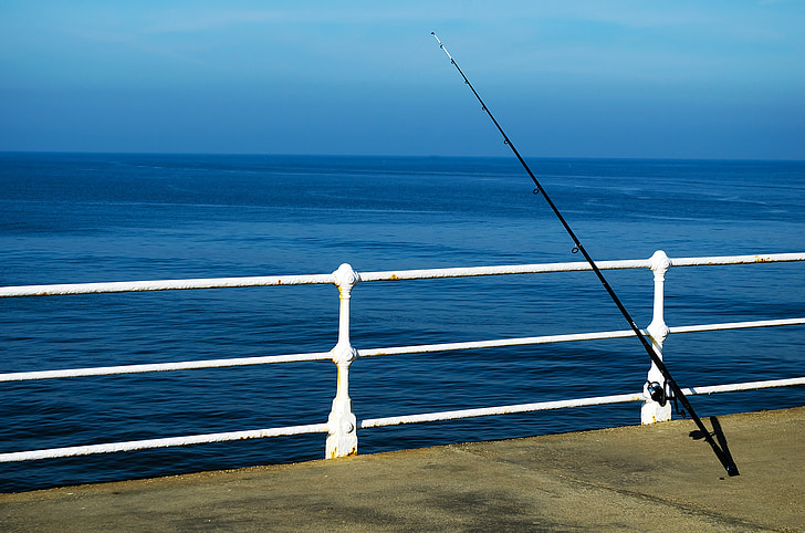 2025 Arkansas Free Fishing Days & Weekends: Dates, Rules, and What You Need to Know