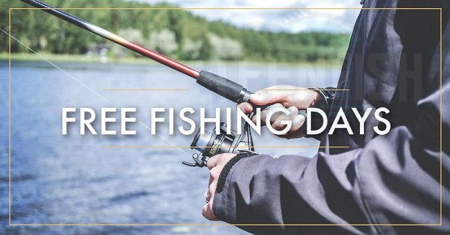 2025 California Free Fishing Days: Essential Dates, Locations & Expert Tips