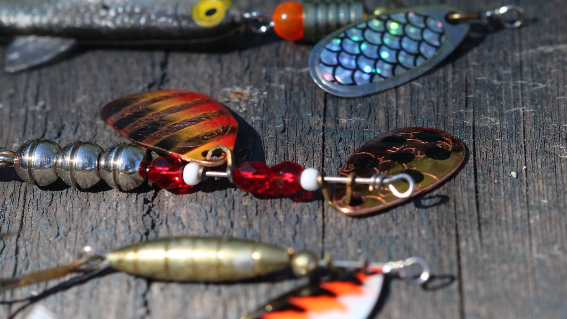 How to Choose the Best Walleye Fishing Baits for Beginners in 2025