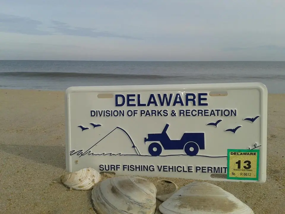 What You Need to Know About Delaware Fishing Licenses in 2025？