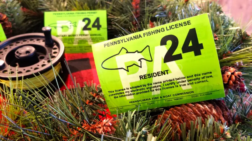 Walmart Fishing License FAQs 2025: What to Bring, How Long It Takes & Costs