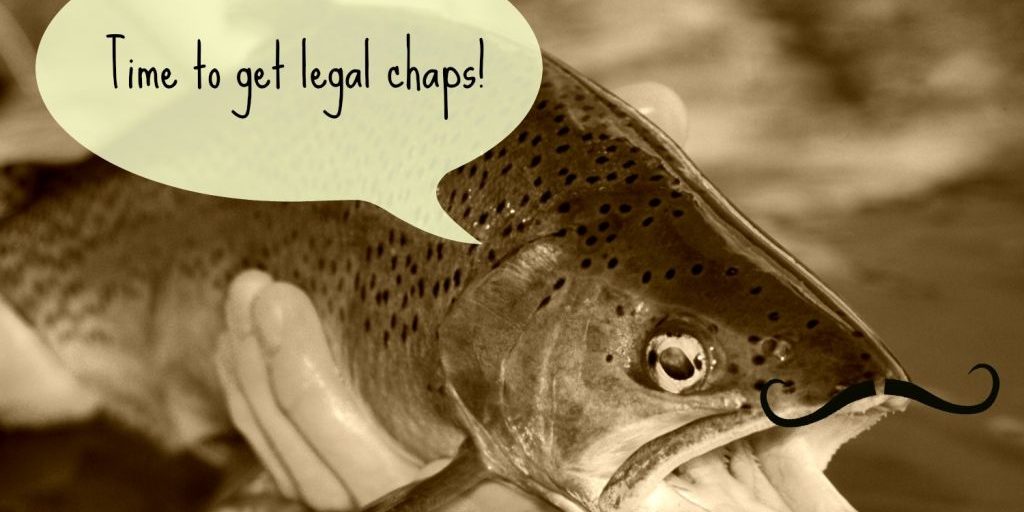 When and Where to Fish in New Mexico: 2025 Season Guide for Anglers