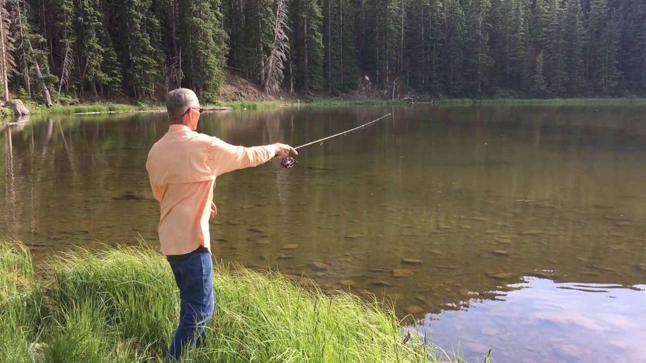 How to Master Trout Fishing in New Mexico: Expert Techniques & Top Spots 2025