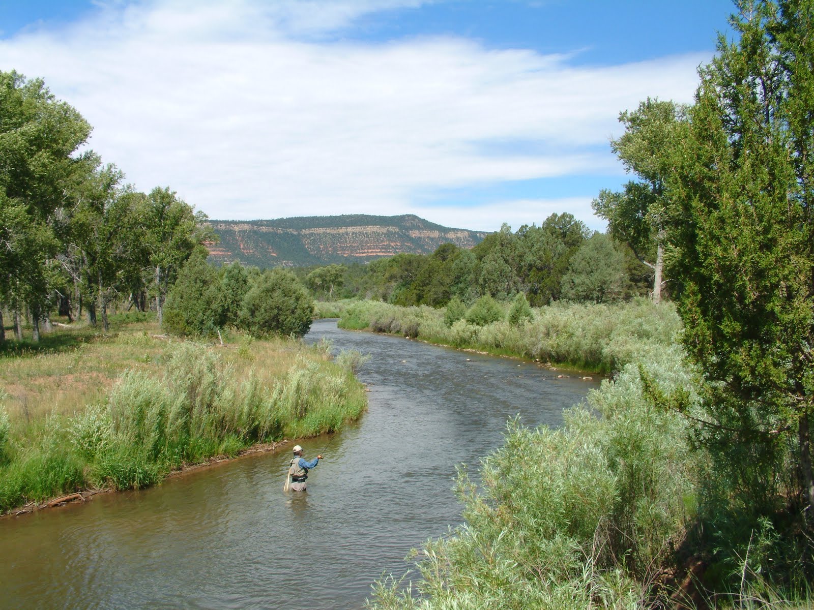Discover the Top 10 Fishing Spots in New Mexico for 2025