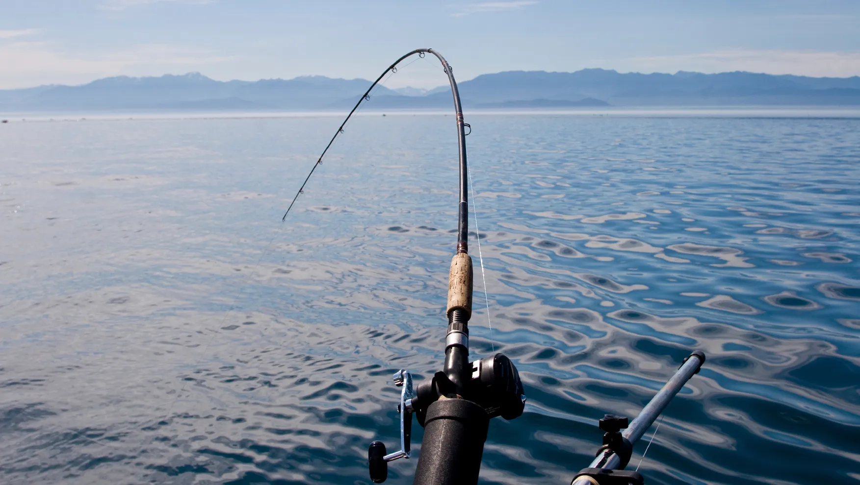 How to Easily Get Your North Carolina Saltwater Recreational Fishing License in 2025