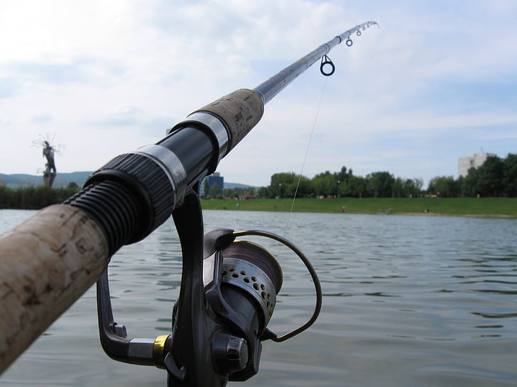 How to Get a Colorado Fishing License?