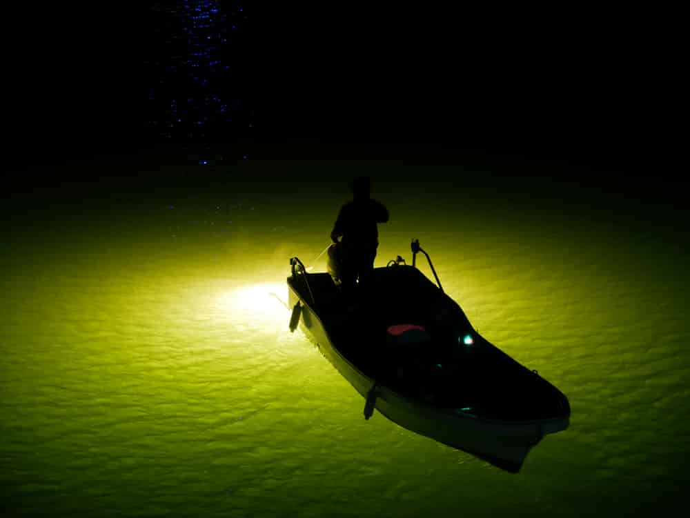 How to Night Fish in Michigan: 2025 Rules & Hotspots