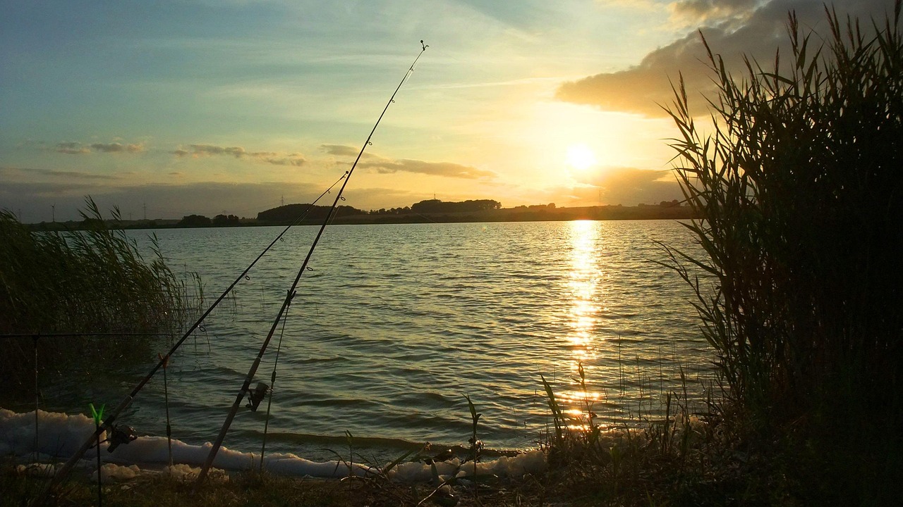 Do You Need a Fishing License in Colorado?