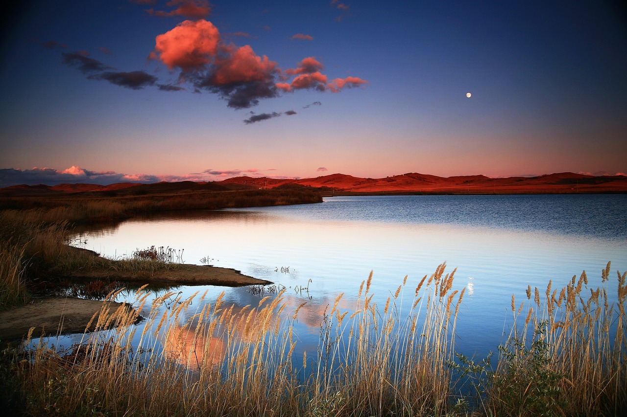 2025 Lake George Fishing License: Costs & Rules