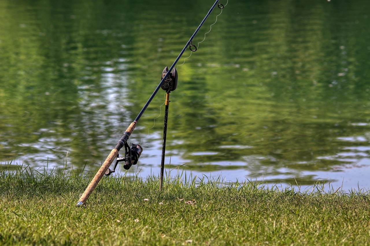 How Much Does a Fishing License Cost in Michigan?