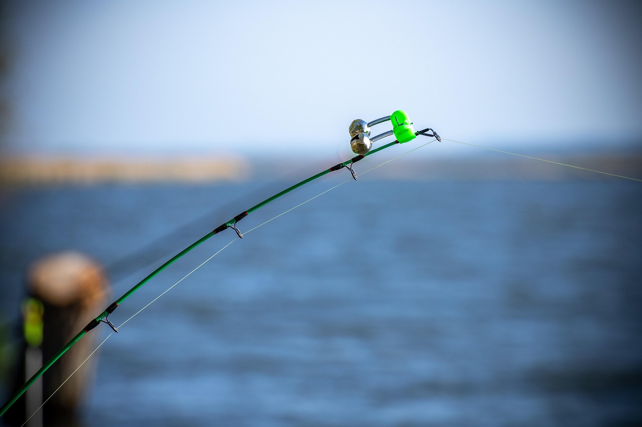 NY Saltwater Fishing License 2025: Free Registration vs Proposed Changes | Expert Guide