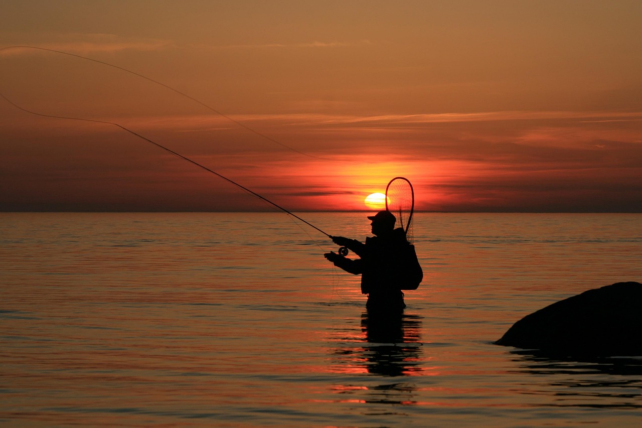 NY Senior Fishing License 2025: $5 Annual Fee, How to Apply & State Comparison