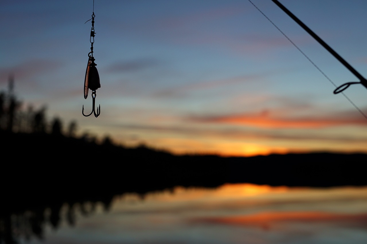 Florida vs. Texas Non-Resident Fishing License Costs: Which Is Cheaper?