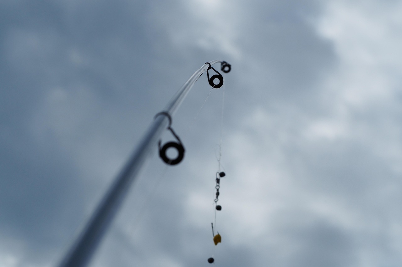 2025 Lake Guntersville Bass Fishing License Guide: Costs, Rules & Tips