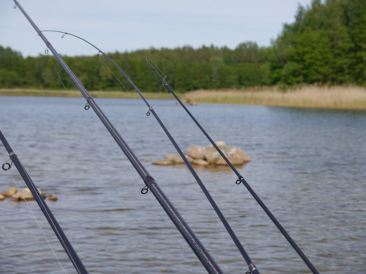 Lake Champlain Fishing License 2025: NY vs VT Rules & Costs Guide