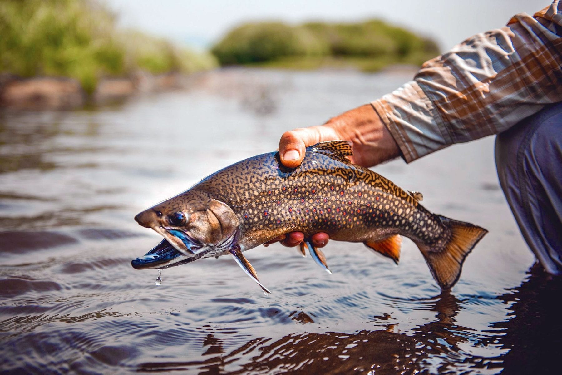 How Much is a Fishing License for Family Packages in Manitoba?