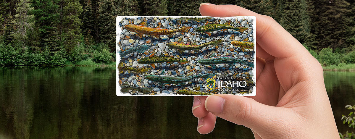 How Much Does an Idaho Fishing License Cost in 2025?