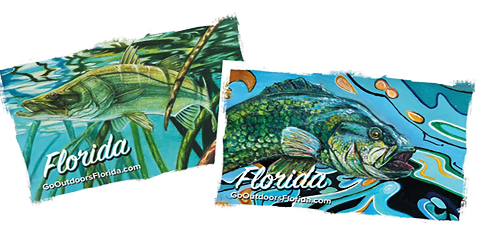 2025 Florida Fishing License Costs & Rules: Official Guide for Residents & Visitors