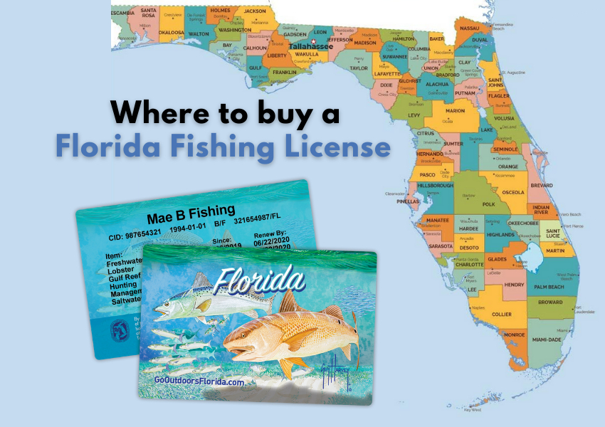 Do You Need a Fishing License in Florida?