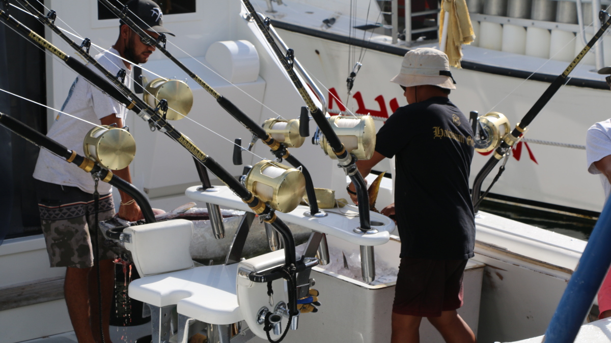 What Age Do You Need a Fishing License in Hawaii?