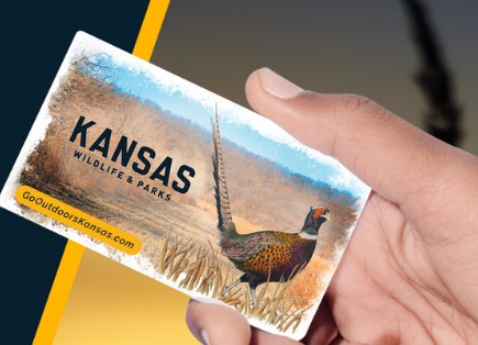 Do You Need a Fishing License in Kansas?