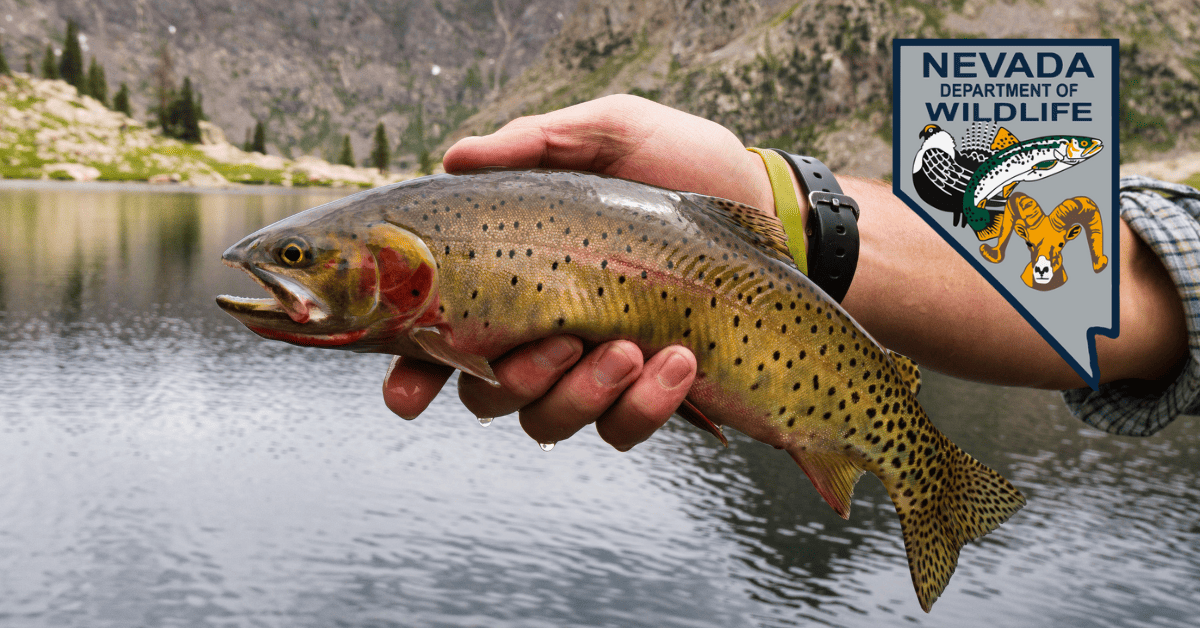 What Age Do You Need a Fishing License in Nevada?