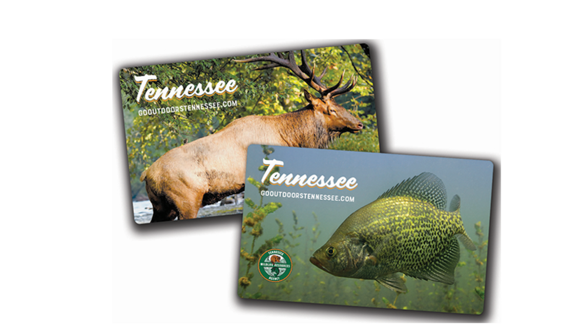 Do You Need a Fishing License in Tennessee?