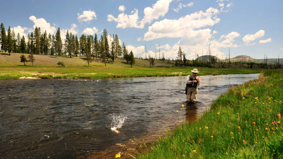 Do You Need a Fishing License in Wyoming?
